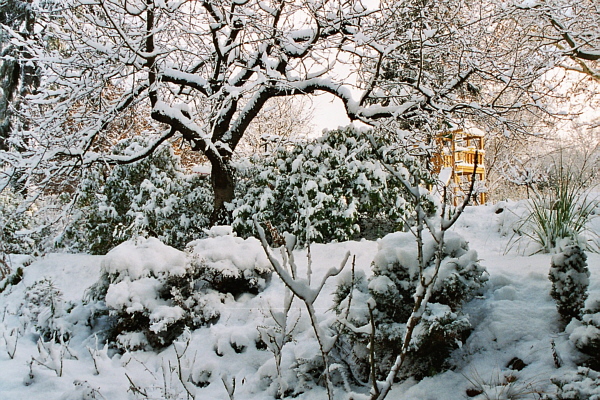 Garten im Winter