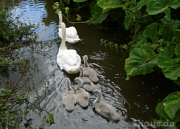 Familienausflug
