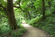 Abstieg ins „Lost Valley”
