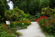 Blüten in allen Farben