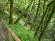 Beginn der Wanderung mit dem Abstieg in das urwchsige Tal