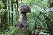 Riesenpilz