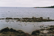 Am Hafen von Looe