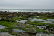 Ebbe