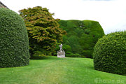 Grne Gartenwand