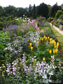 Blumen in allen Farben