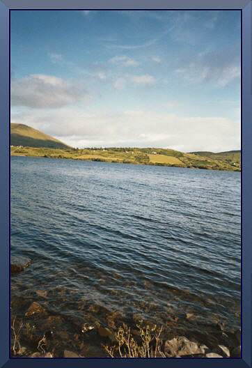 zur&uuml;ck zum Text