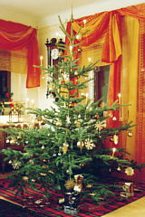 Weihnachtsbaum sehr edel