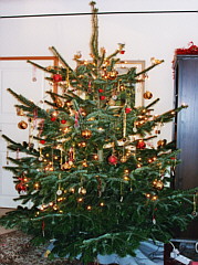 Weihnachtsbaum in Rot und Gold
