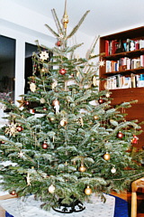 Weihnachtsbaum in Gold und Rotbraun
