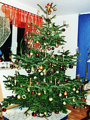 Perfekter Weihnachtsbaum